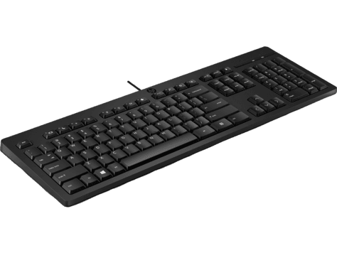 Клавиатура HP 125 USB Wired Keyboard 266C9A6