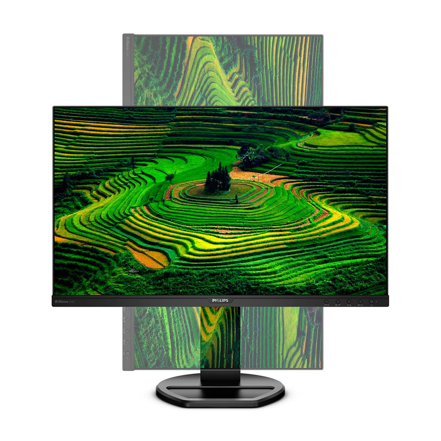 LCD 23.8" Philips 241B8QJEB/01, 1920x1080 IPS (LED), 5ms, 250 cd/m2, 3000:1, DP/D-Sub/HDMI