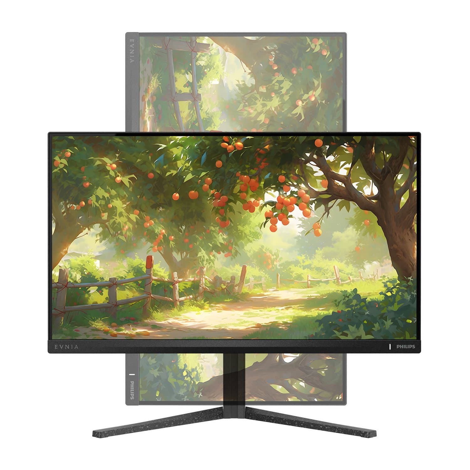 LCD 24.5" Philips 25M2N3200W/01, 1920x1080 VA, 1ms, 300 cd/m2, 3000:1, 2HDMI/DP