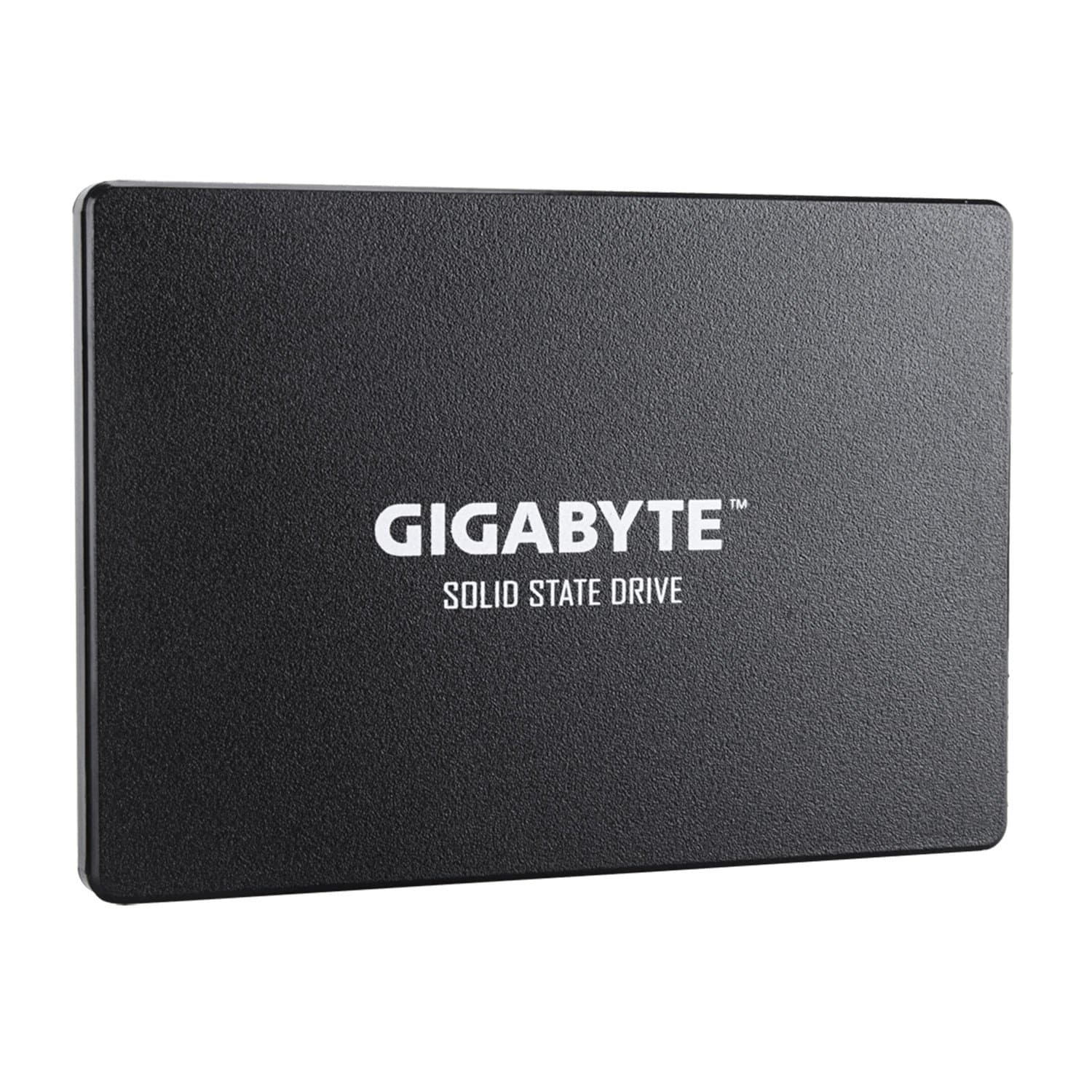 Твердотельный накопитель внутренний Gigabyte GP-GSTFS31100TNTD