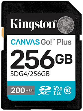 Карта памяти Kingston SDG4/256GB Canvas Go Plus Gen4 C10 UHS-I U3 V30 256GB