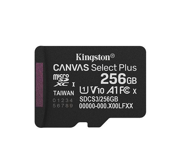 Карта памяти Kingston SDCS3/256GBSP Canvas Select Plus A1 U1 V10 256GB