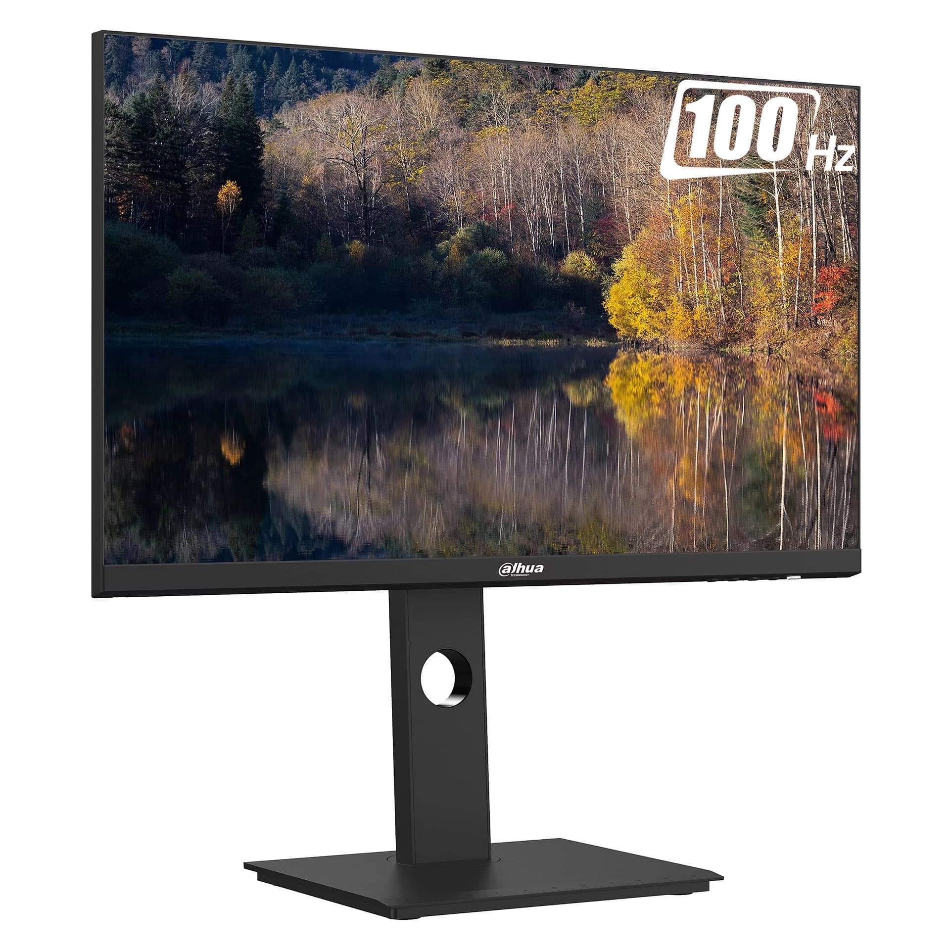 Монитор 24" Dahua DHI-LM24-P301A