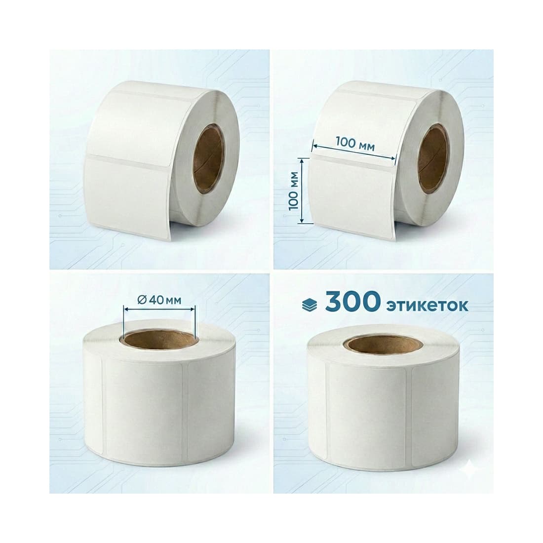 Термоэтикетки в рулоне Europrint EPLE-100.100.300.40 (2 рулона)